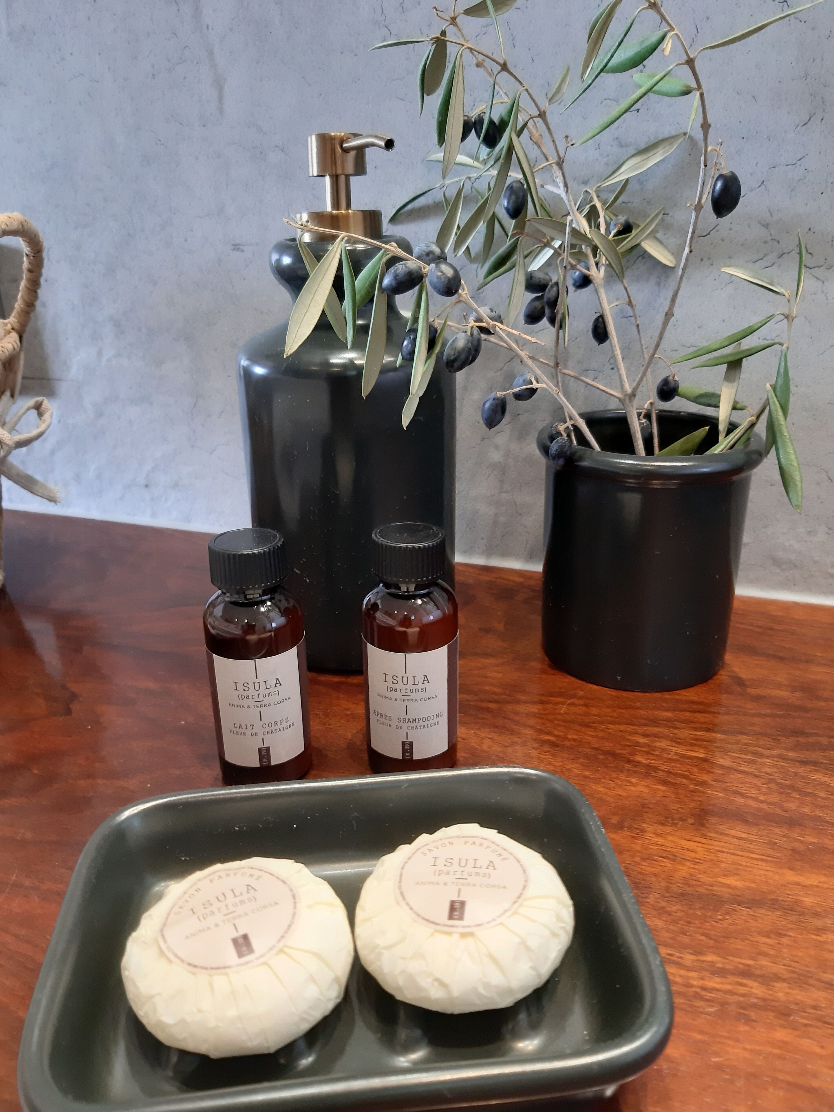 A bathroom vanity with a black soap dispenser, two small bottles of Isula perfume, and a potted plant with green leaves and black berries.
