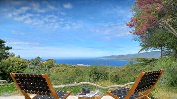 Appartement Panoramique (U Fiore) | Terrasse/Patio