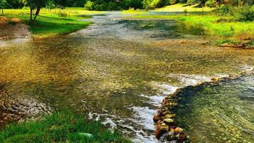 Un río transparente con lecho rocoso, rodeado de abundante vegetación y montañas al fondo.