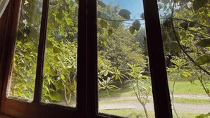 A room with large windows, curtains, and a view of greenery outside.