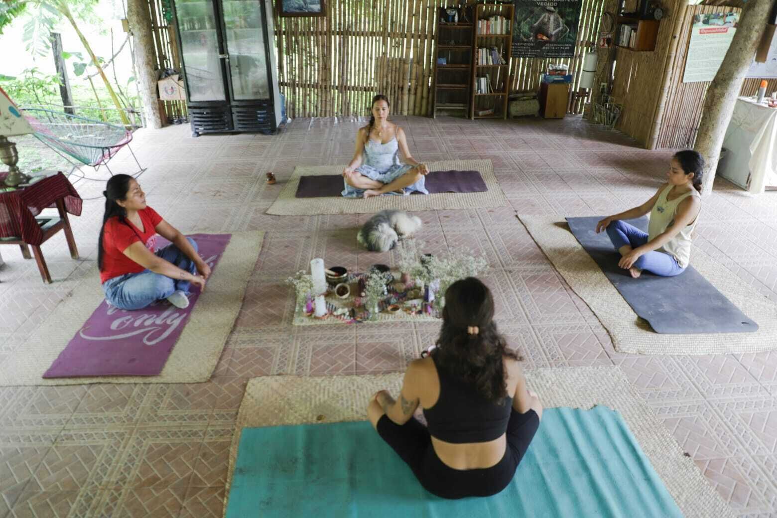 Eine Gruppe von Menschen sitzt auf Yogamatten in einem Raum mit Fliesenboden, umgeben von Bambuswänden und einem Bücherregal.