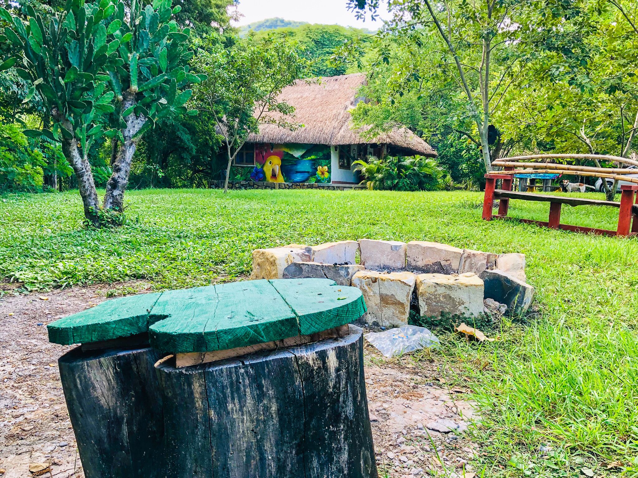 A rustic thatched-roof hut surrounded by lush greenery and a stone fire pit.