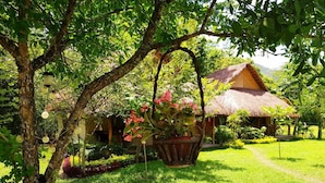 A rustic thatched-roof house surrounded by lush greenery and a well-maintained lawn.