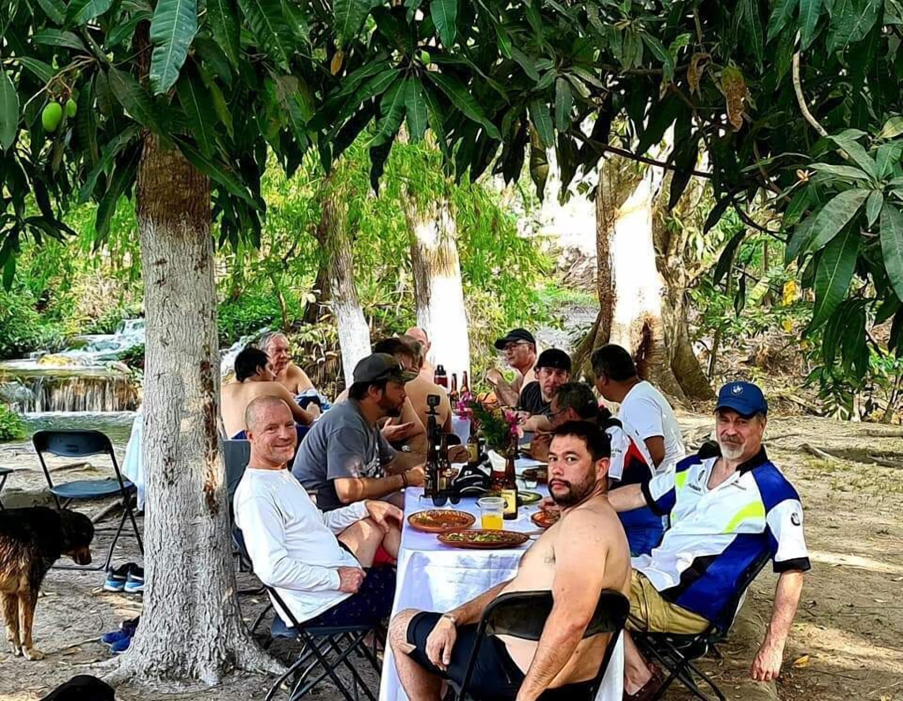 A group of people dining outdoors under a tree, with a table set with food and drinks.