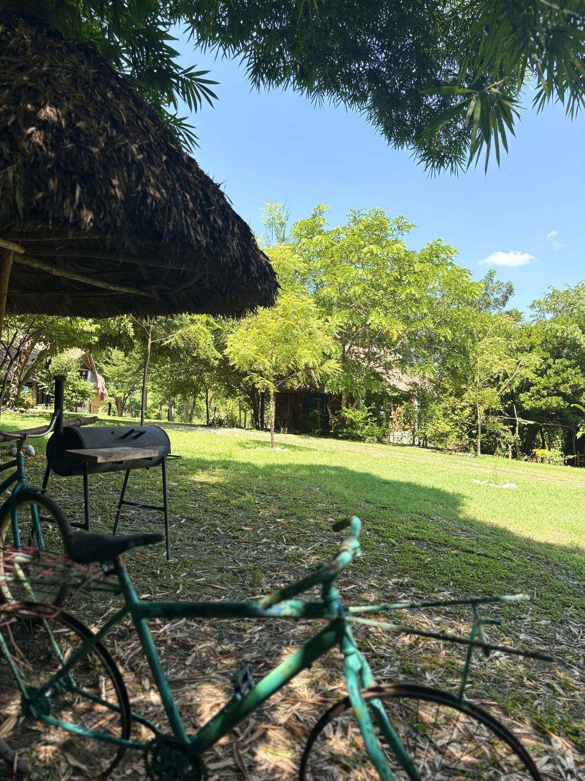 A grassy outdoor area with a thatched-roof structure, a bicycle, and a grill.