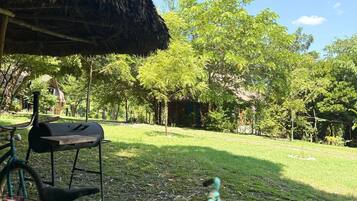 A grassy outdoor area with a thatched-roof structure, a bicycle, and a grill.