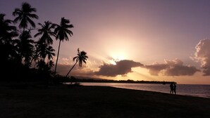 Une scène de plage avec des palmiers et un coucher de soleil sur l’eau.