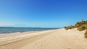 Ein Strand mit blauem Himmel, sandigem Ufer und Vegetation auf der rechten Seite.