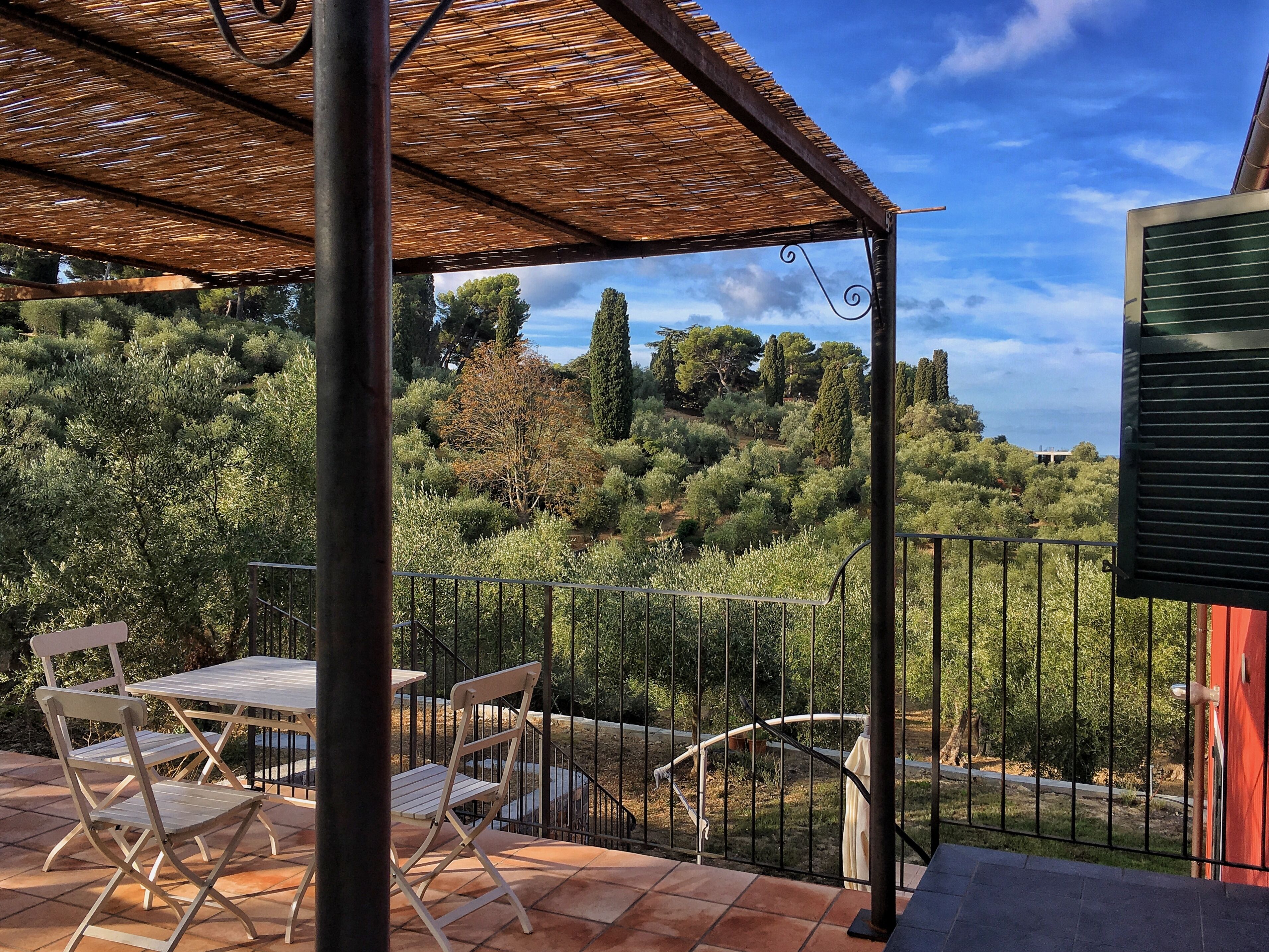 A covered outdoor area with a table and chairs, surrounded by a metal fence and lush greenery.