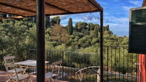 A covered outdoor area with a table and chairs, surrounded by a metal fence and lush greenery.