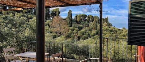 A covered outdoor area with a table and chairs, surrounded by a metal fence and lush greenery.