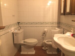 Bathroom features a toilet, bidet, and sink with a wooden cabinet above.