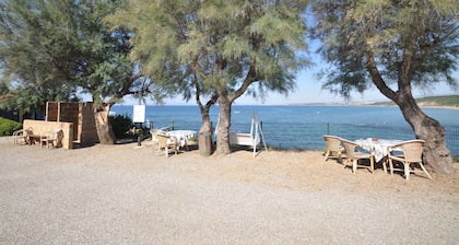 APARTMENTS IN RESIDENCE WITH ANIMATION AND PRIVATE BEACH 50MT FROM THE SEA