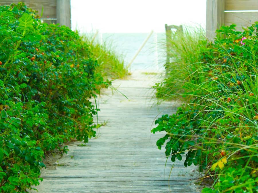 Private beach, white sand, sun loungers