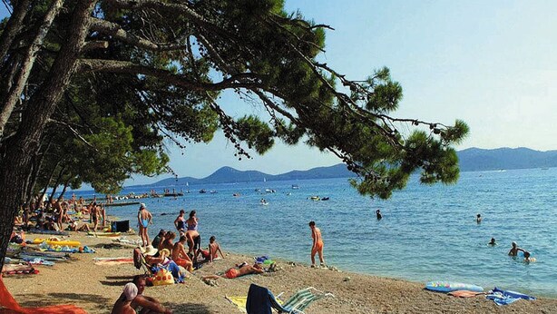 A beach scene with people sunbathing and swimming, surrounded by trees and a clear sky.