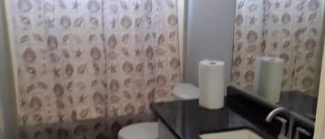 Basic House | Bathroom | Combined shower/tub, towels, soap, toilet paper