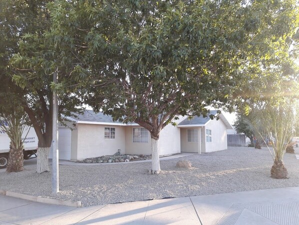 A residential area with two single-story houses, a gravel driveway, and a palm tree.