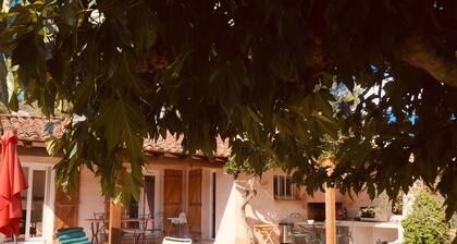 Villa con piscina y jardín paisajístico a 5 minutos de Porto-Vecchio