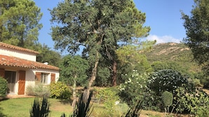 Ein Haus mit Ziegeldach, umgeben von einem gepflegten Garten mit verschiedenen Pflanzen und einem großen Baum.