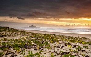 Playa en los alrededores 