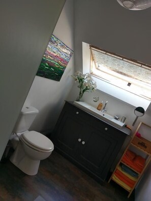 Shower, free toiletries, hair dryer, towels