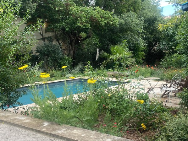 A swimming pool surrounded by lush greenery and various plants. - L’ Ermitage. Rustic charm in the heart of Uzès! (Uzès)