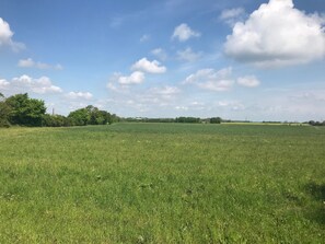 المنطقة المحيطة بالمنشأة