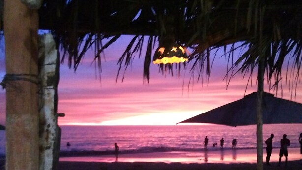 Escena de playa con atardecer, palmeras y gente caminando.