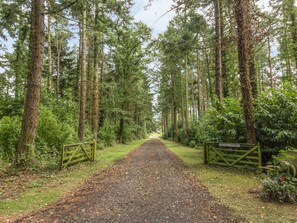 A gravel path flanked by tall trees and a wooden gate labeled "THE OLD SAWMILL". - Sawmill Cottage (Belford)