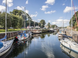 Enjoy serene waterfront views and diverse boating activities in this peaceful marina surrounded by lush greenery.