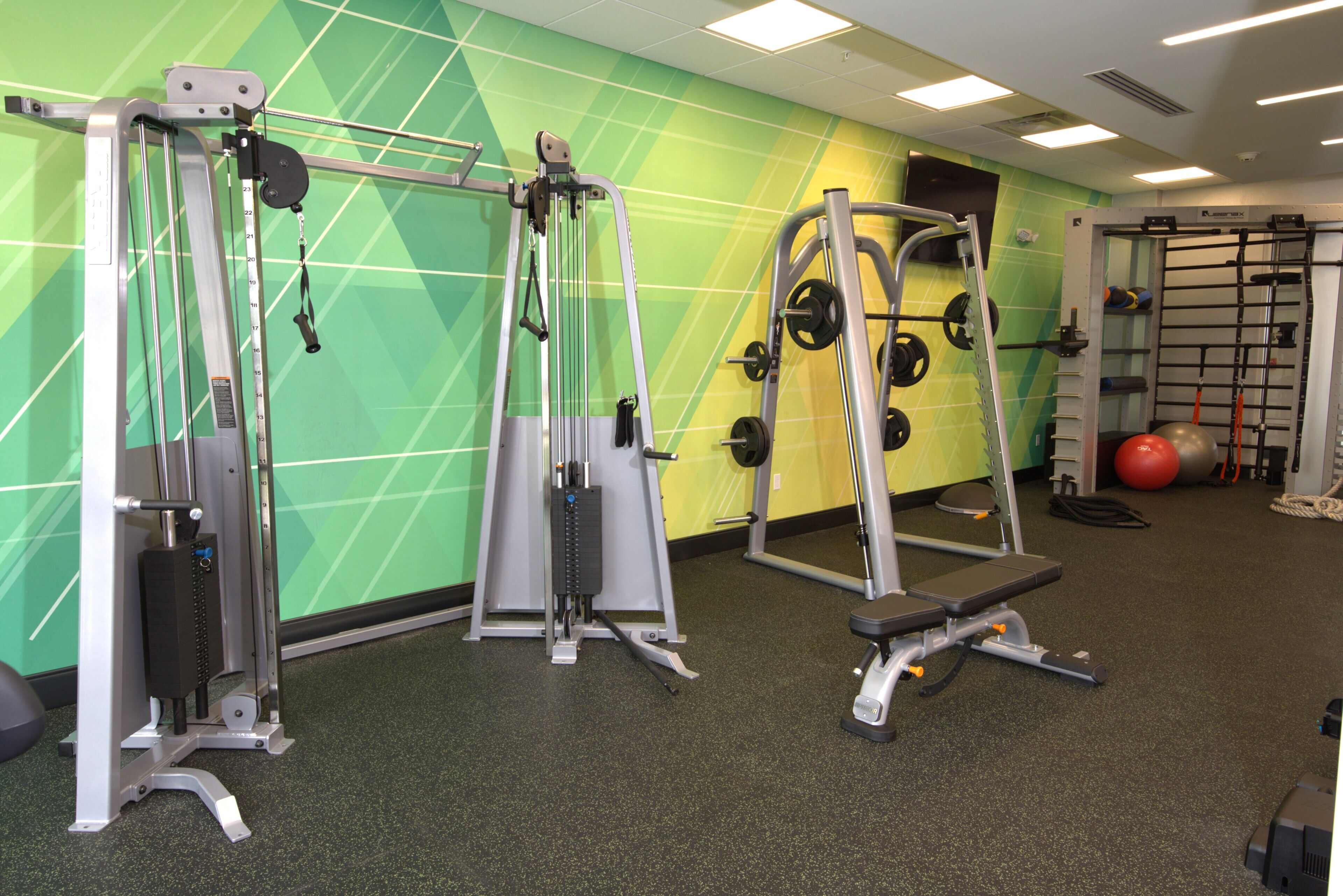 Une salle de sport équipée de matériel de musculation, d’une barre de traction et d’un support à squats.
