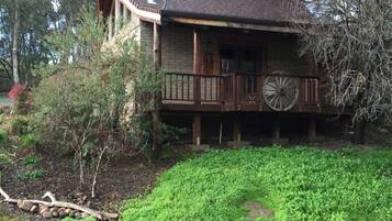 Front of the cabin