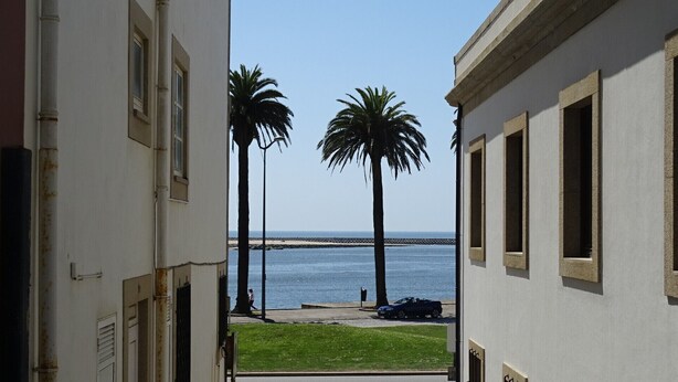 Vista de una calle costera con palmeras y cielo despejado.