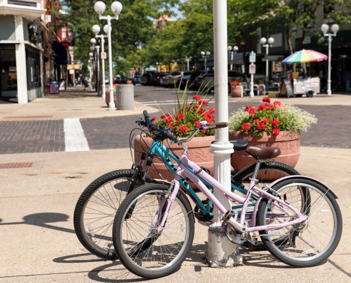 A bicycle parked on a sidewalk with a planter containing red flowers.