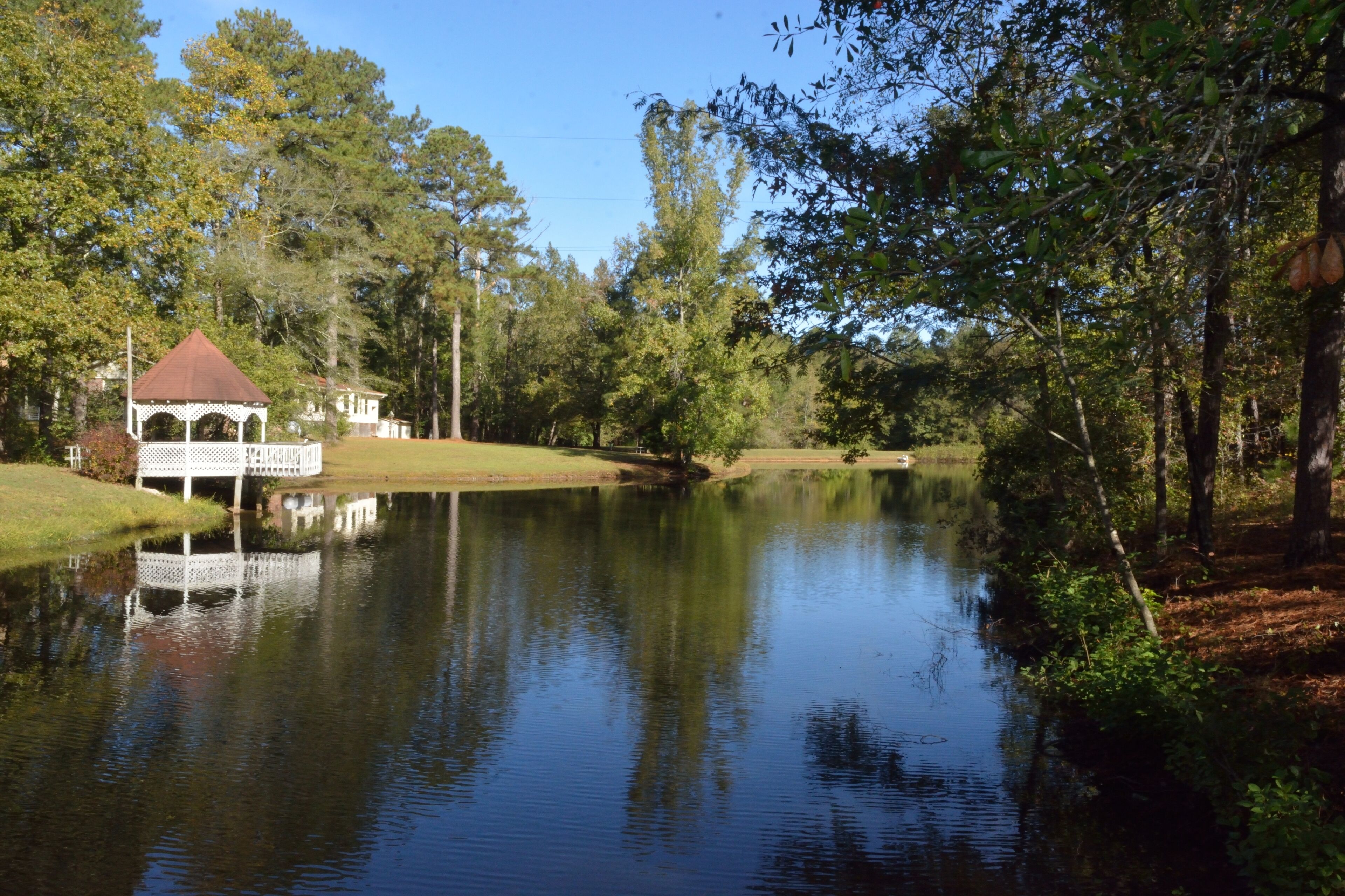 Àrea exterior de l'allotjament