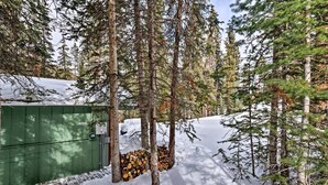 A snow-covered forest with a green shed and a stack of firewood.