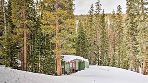 A cabin in a snowy forest with a red door and a snow-covered roof.