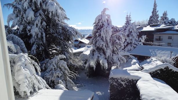 A snowy residential area with houses and trees covered in snow. - Hosteria La Pastorella (San Carlos de Bariloche)