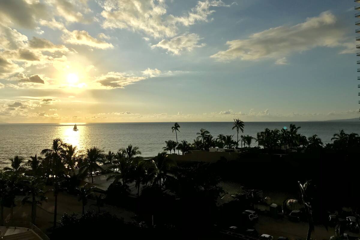 A sunset view over the ocean with palm trees and a beach in the foreground.