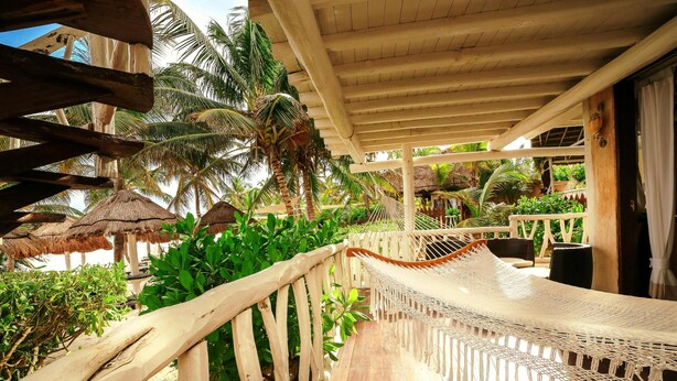 Une terrasse en bois avec un hamac, entourée d’une végétation luxuriante et de palmiers.