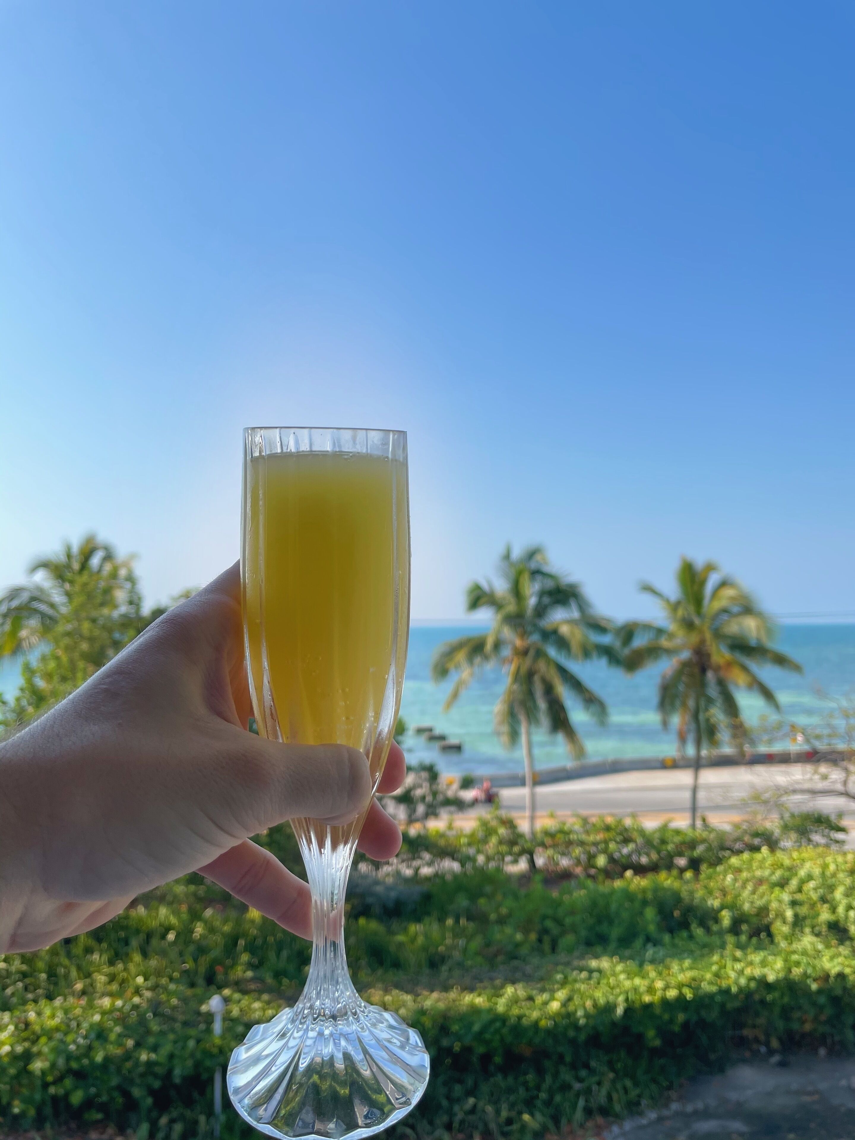 La Brisa - Ocean Views Across from Smathers Beach