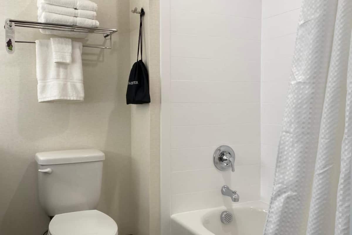 standard double room | bathroom | combined shower/bathtub, hydromassage showerhead, free toiletries