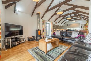 Smart TV y chimenea