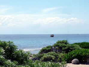 Plage à proximité, chaises longues, serviettes de plage