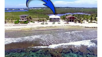 Plage à proximité, chaises longues, serviettes de plage