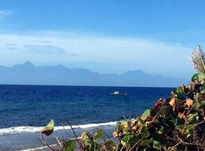 Une vue côtière avec un bateau sur l’eau, des montagnes en arrière-plan et de la végétation au premier plan.