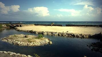 Sun loungers, beach towels