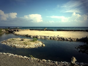 Camastros y toallas de playa