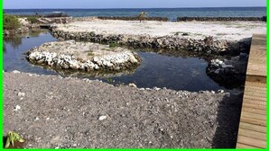Une plage rocheuse avec une promenade en bois qui mène à un petit plan d’eau.