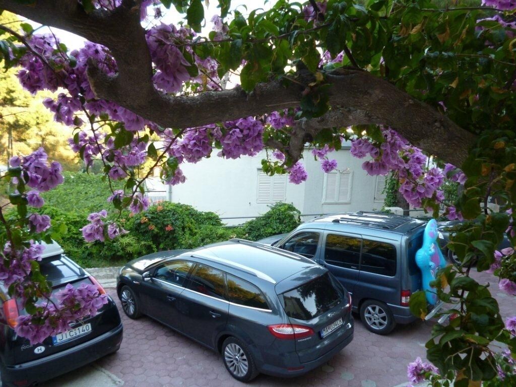 Un estacionamiento con coches y un árbol de flores moradas.